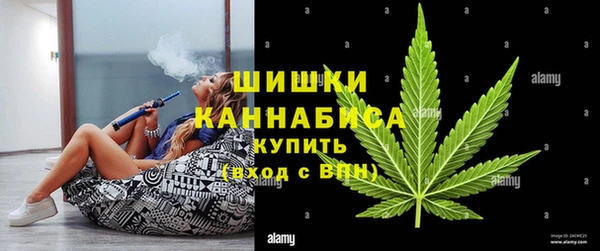 ешки Вяземский