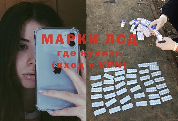 ешки Вяземский