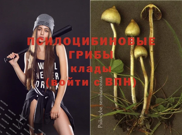 каннабис Вязники