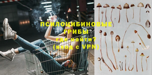 ешки Вяземский