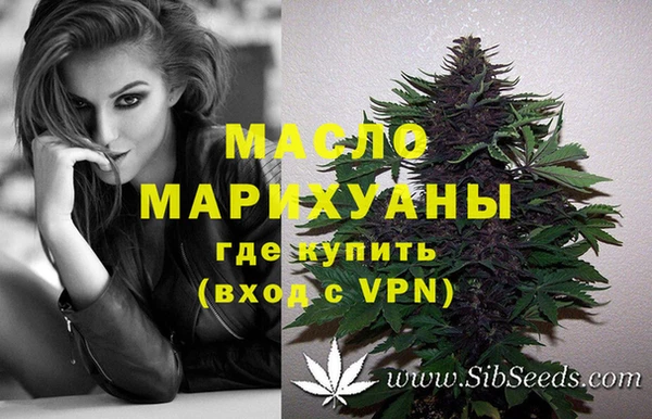 ешки Вяземский