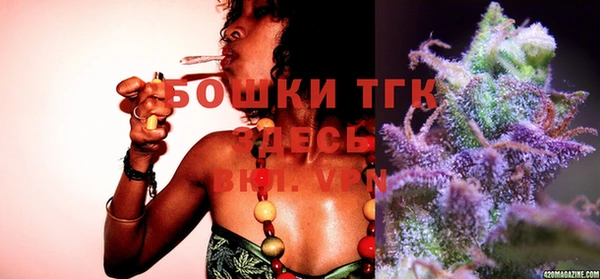 ешки Вяземский