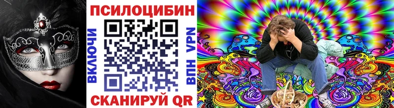 Купить закладки  Бикин  Галлюциногенные грибы Psilocybine cubensis 
